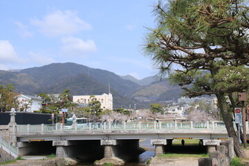 芦屋川付近から見た兵庫県芦屋市の桜が咲く街並み