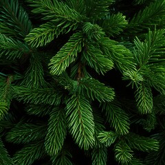 Christmas tree branches. Festive Xmas border of green branch of pine. generative ai
