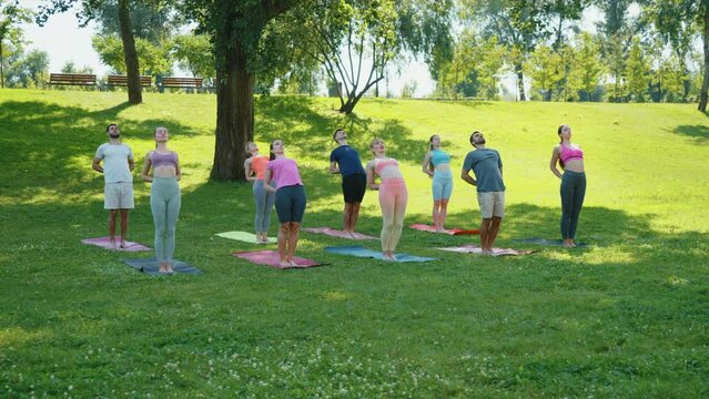 Fitness group practicing standing backbend pose in sunny city park. Young sporty people doing stretching exercises. Outdoor sports activities in the fresh air. Health and wellness concept