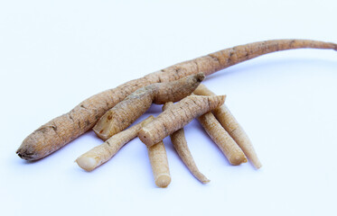 Asparagus racemosus or Shatavari Roots on white background close-up view 