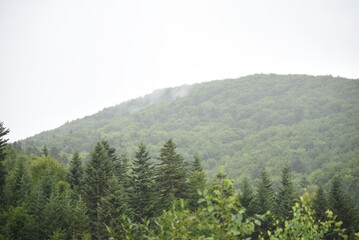 Beautiful Carpathian mountains and green nature in Ukraine