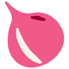 onion red pink hand draw illustration fruits illustrator healthy food vegetable fruit vector