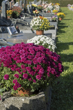 Pierres tombales fleuries dans un cimeti&egrave;re

