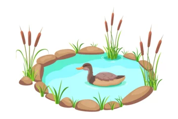 Fotobehang Pond with reeds and duck. Lake in cartoon style. Pond with grass and stones © JuliaBliznyakova