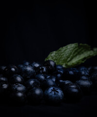 still life blueberries on black background