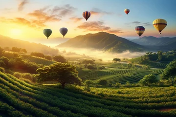 Foto op Canvas Colorful hot-air balloons flying over tea plantation landscape at sunset.  © artpritsadee