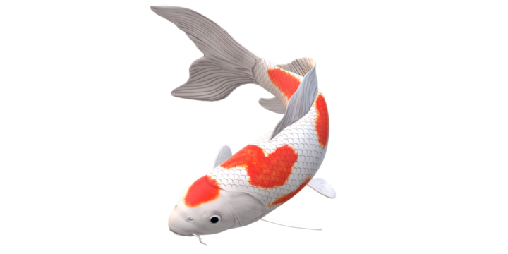 Koi Carp fish isolated on a Transparent Background - Powered by Adobe