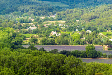 Obraz premium Champ de lavande en Provence