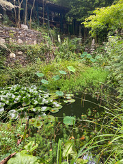 Bassin d'un jardin dans les Cévennes