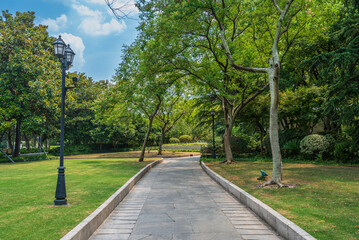path in the park