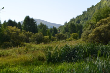 Fototapeta premium lake in the mountains