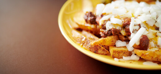 French fries and cheese on a plate