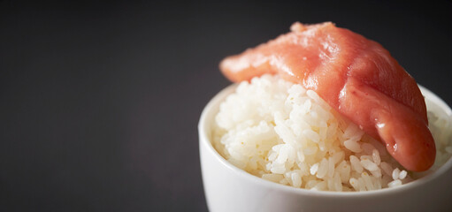 Fototapeta na wymiar salted pollack roe with steamed rice