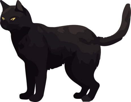Clip art of realistic black cat_illpainting