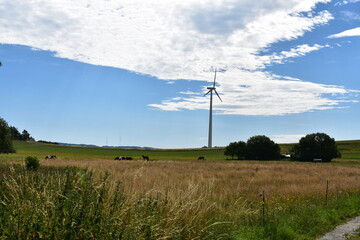 Windkraft-Strom-Energie-in-Werra-Meißner-Kreis-Hessen-Deutschland-Energiewende