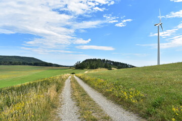 Fototapeta na wymiar Werra-Meißner-Kreis-Natur-Landschaft-Felder-Blumen-Wald