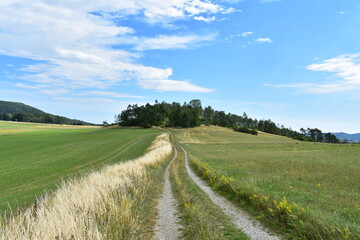 Fototapeta na wymiar Werra-Meißner-Kreis-Natur-Landschaft-Felder-Blumen-Wald