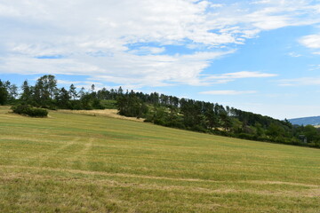 Fototapeta na wymiar Landschaften-Natur-Blumen-Wiesen-Felder