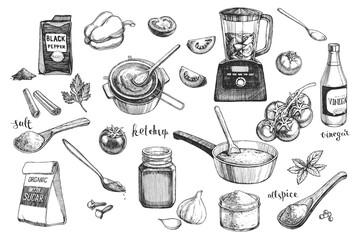 Vector hand-drawn set of ingredients for homemade ketchup cooking in engraving style. Collection of sketches of products for tomato sauce. - 637010601