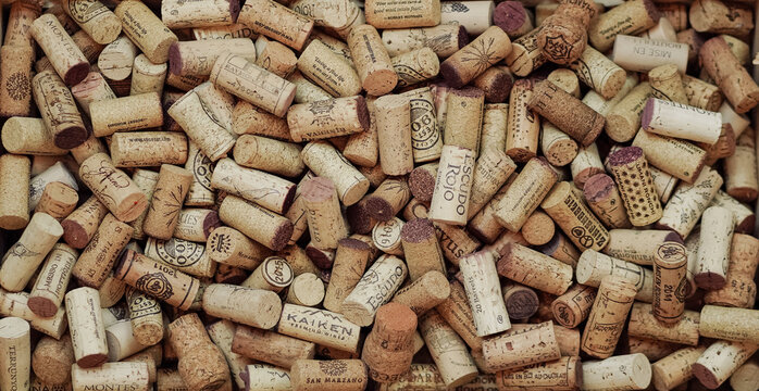 BKK, Thailand - Aug 20, 2023 : A top view photo of wine corks in many different brands. Pattern of the cork details texture and background [editorial use only]