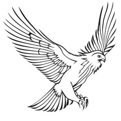 a bird of prey, motion, flying, vector illustration line art