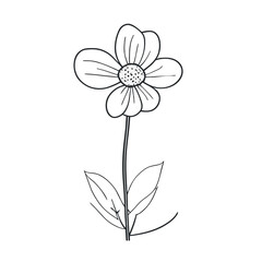 flower, vector illustration line art