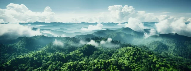 Rolgordijnen Sustainability net zero carbon negative forest nature Biodiversity Diversity, Generative AI © kanesuan
