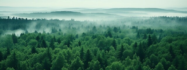 Sustainability net zero carbon negative forest nature Biodiversity Diversity, Generative AI