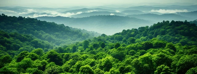 Foto op Plexiglas Sustainability net zero carbon negative forest nature Biodiversity Diversity, Generative AI © kanesuan