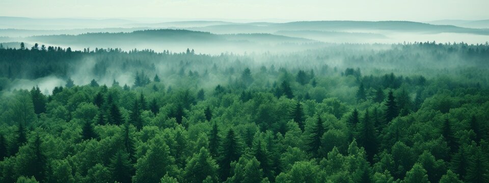 Sustainability net zero carbon negative forest nature Biodiversity Diversity, Generative AI