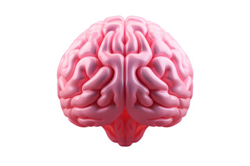 3d illustration of a human brain isolated on transparent background