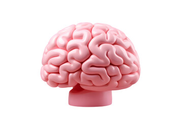 3d illustration of a human brain isolated on transparent background