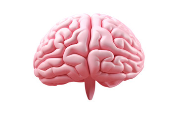 3d illustration of a human brain isolated on transparent background