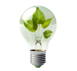3d light bulb with plant inside, eco concept isolated on transparent background