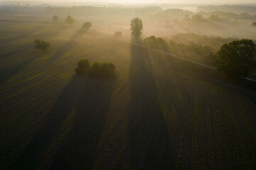 Aerial drone view at sunrise in Poland, landsape with morning fog
