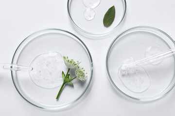 Petri dishes with samples of cosmetic oil, pipette and flowers on white background, flat lay