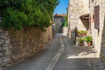 Fototapeta na wymiar The picturesque village of Vertine, near Gaiole in Chianti. Province of Siena, Tuscany, Italy