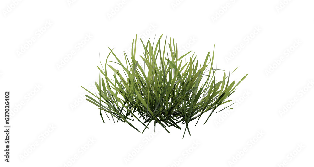 Poster bunches of grass on a transparent background. 3d rendering.