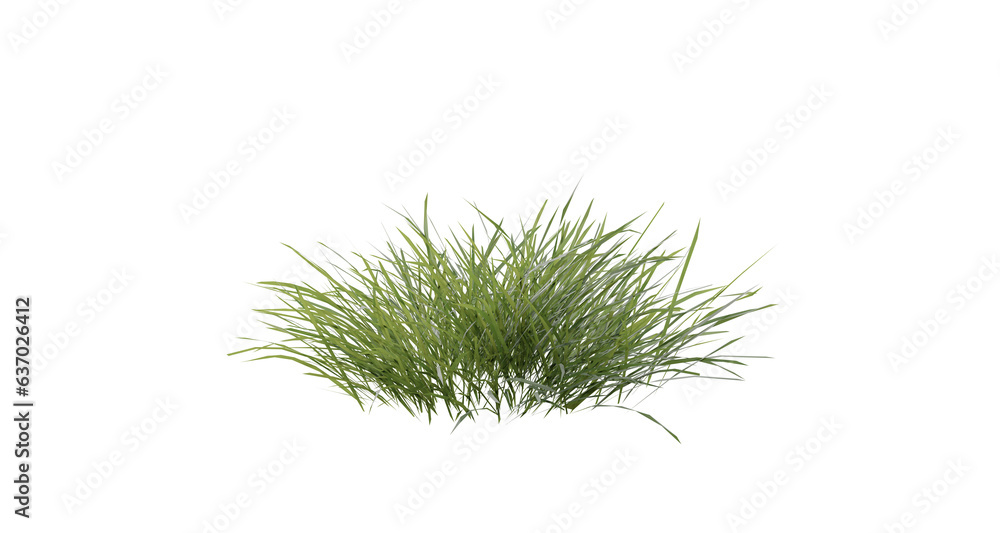 Poster bunches of grass on a transparent background. 3d rendering.