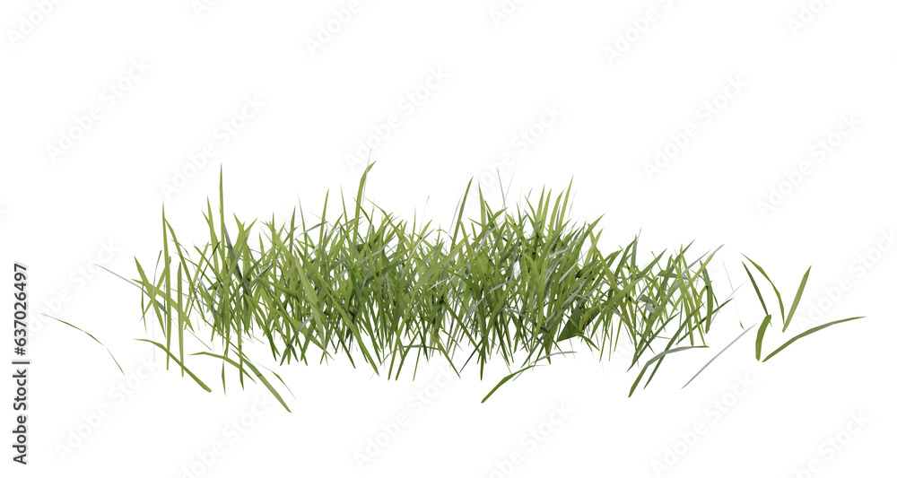 Wall mural bunches of grass on a transparent background. 3d rendering.