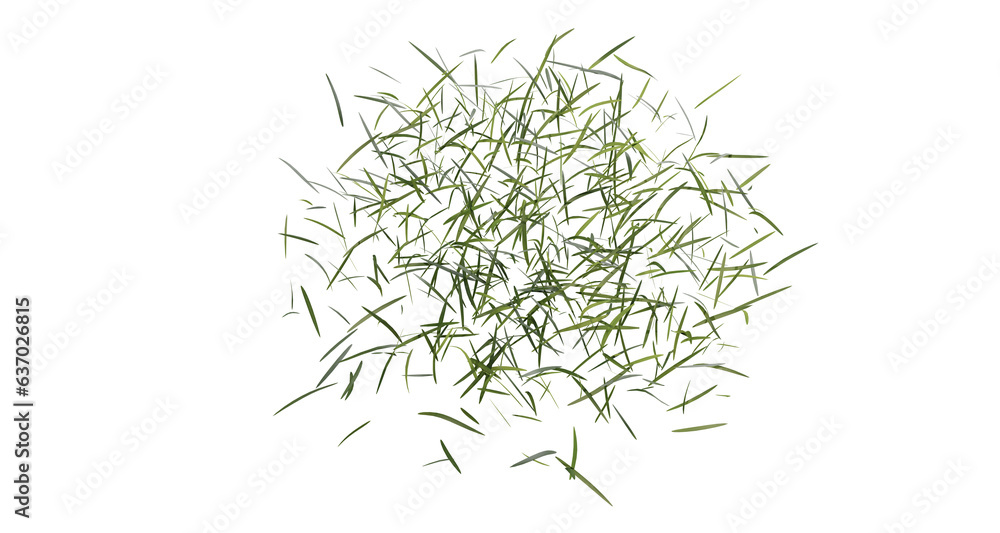 Poster bunches of grass on a transparent background. 3d rendering.