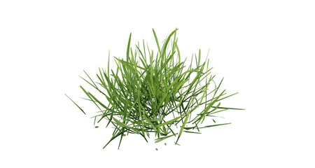 Bunches of grass on a transparent background. 3D rendering.	