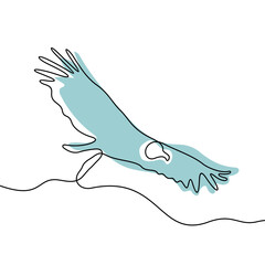Condor continuous line colourful vector illustration