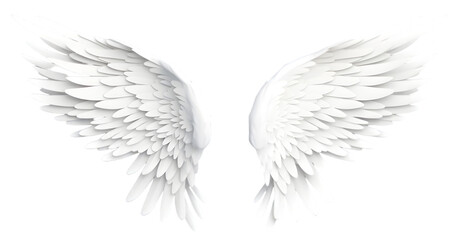 Fototapeta na wymiar White wings isolated on transparent background