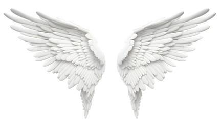 White wings isolated on transparent background