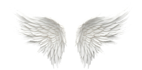Obraz premium White wings isolated on transparent background