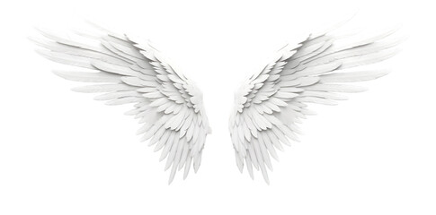 Obraz premium White wings isolated on transparent background