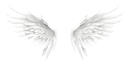 Obraz premium White wings isolated on transparent background