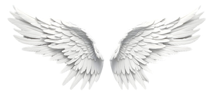 White wings isolated on transparent background