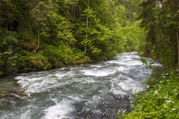 River in the Austrian Alps of the Dachstein region (Styria in Austria)